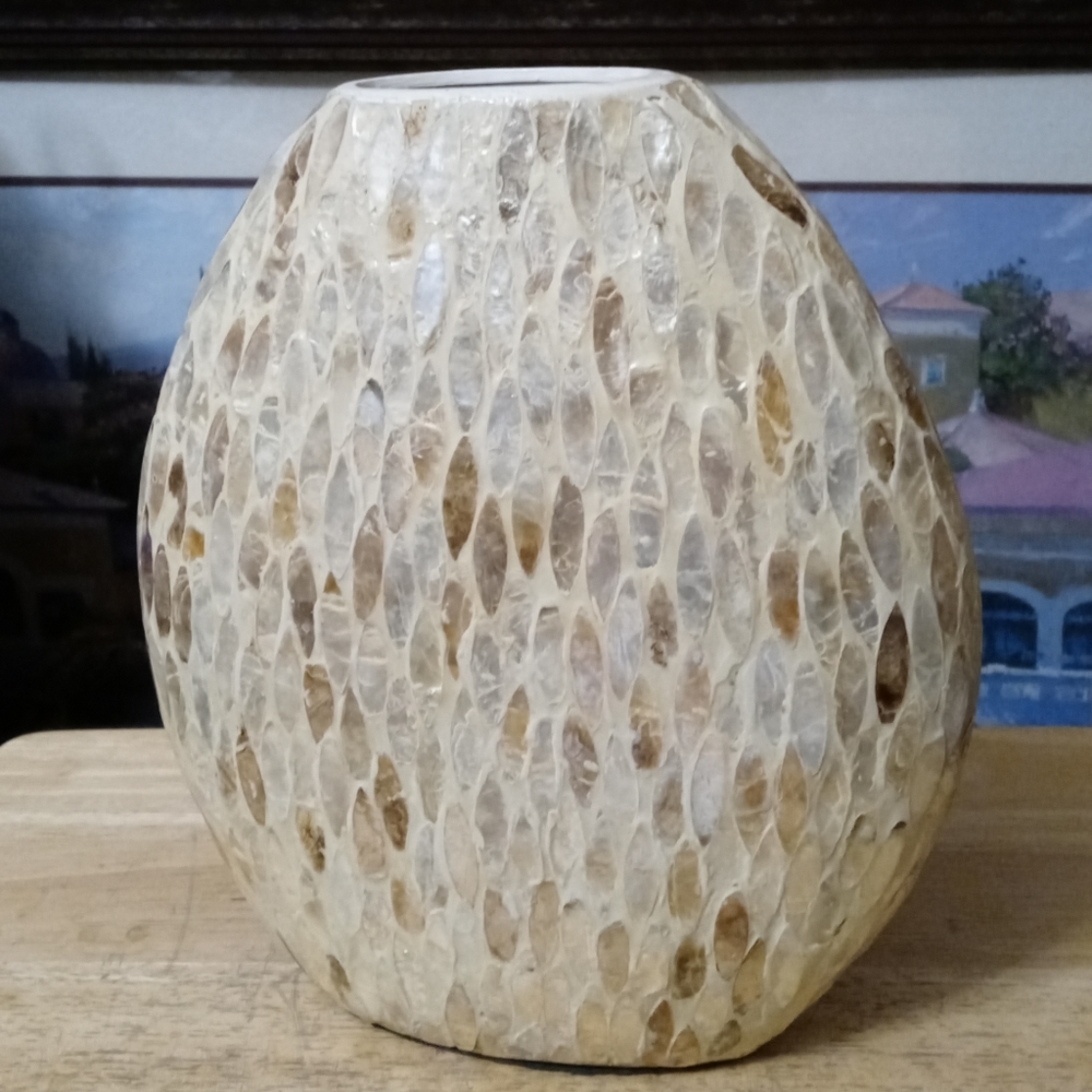 π€πFire Fly Mother of pearl vaseππππSize 12"Γ11",A Nice Gift Item.ππππ - Picture 2 of 7